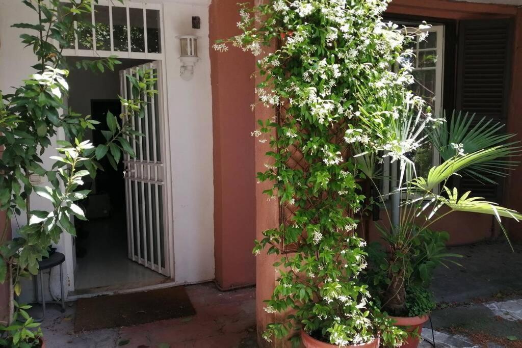La Casa Della Mia Famiglia Daire Roma Dış mekan fotoğraf