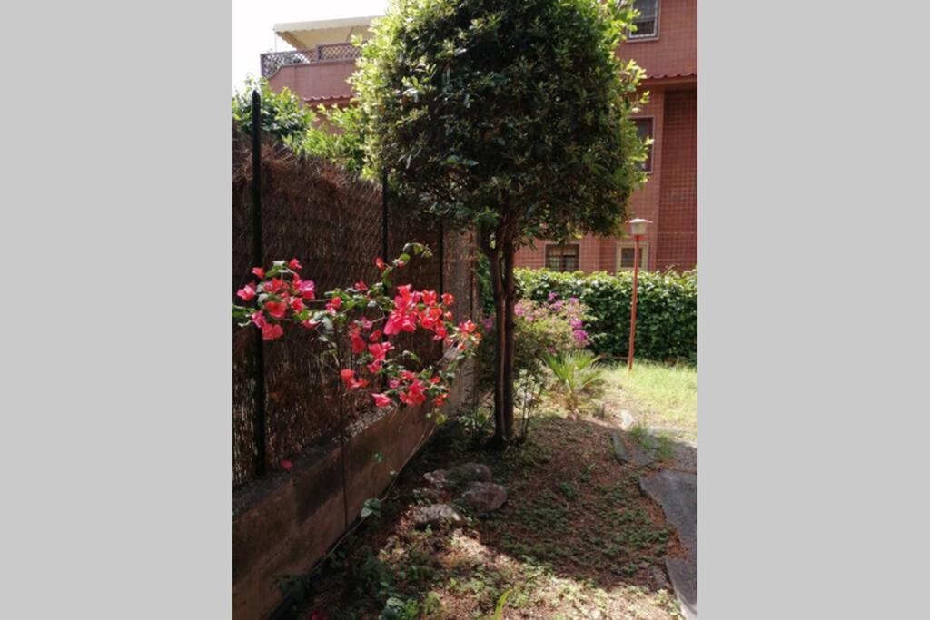 La Casa Della Mia Famiglia Daire Roma Dış mekan fotoğraf